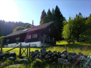 Salzkammergut Hütte